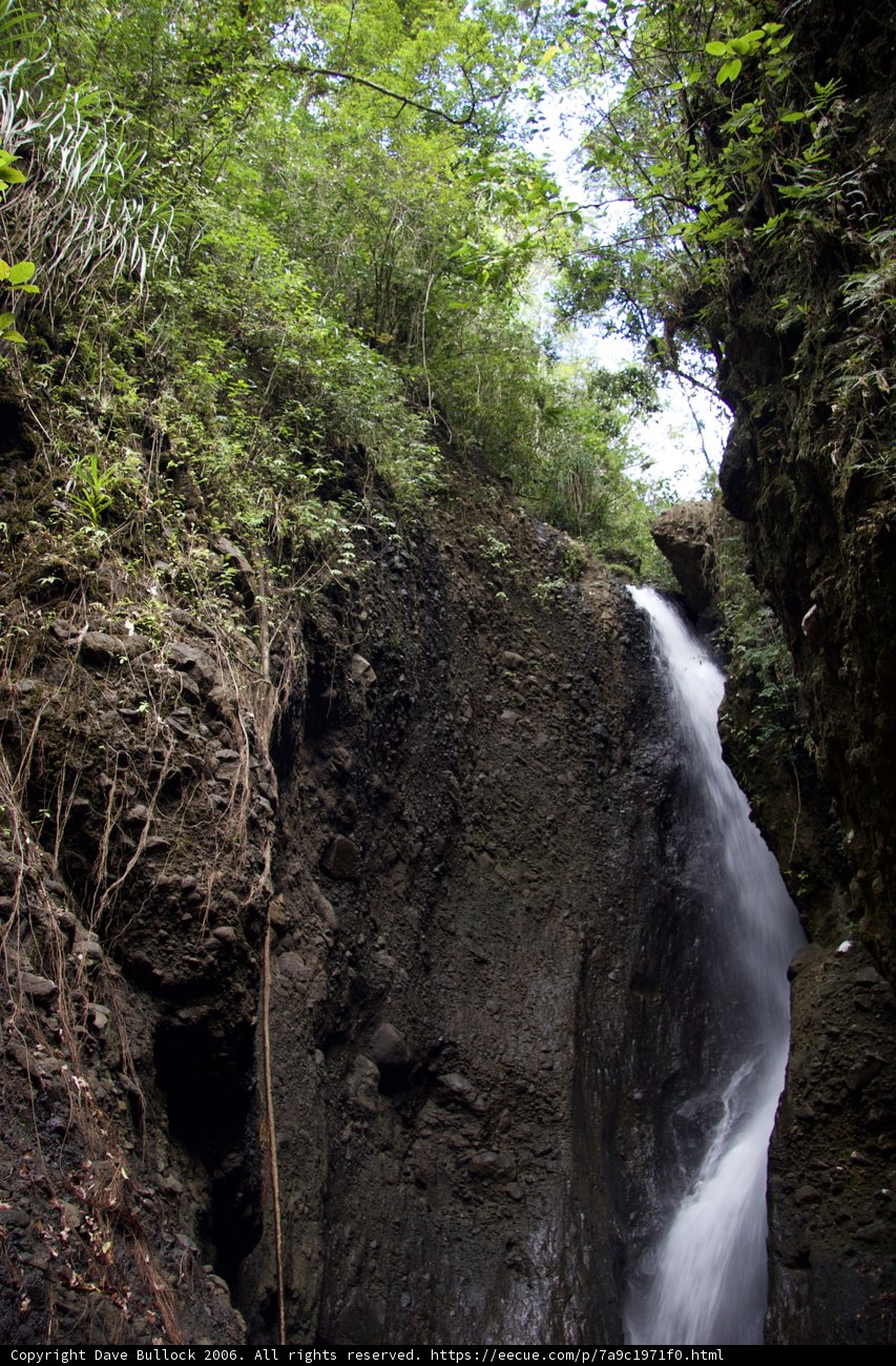 Majestic Waterfall in the Heart of the Forest