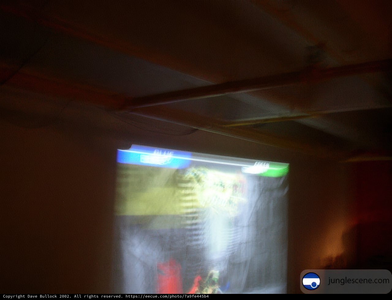 Cinema in the Dark