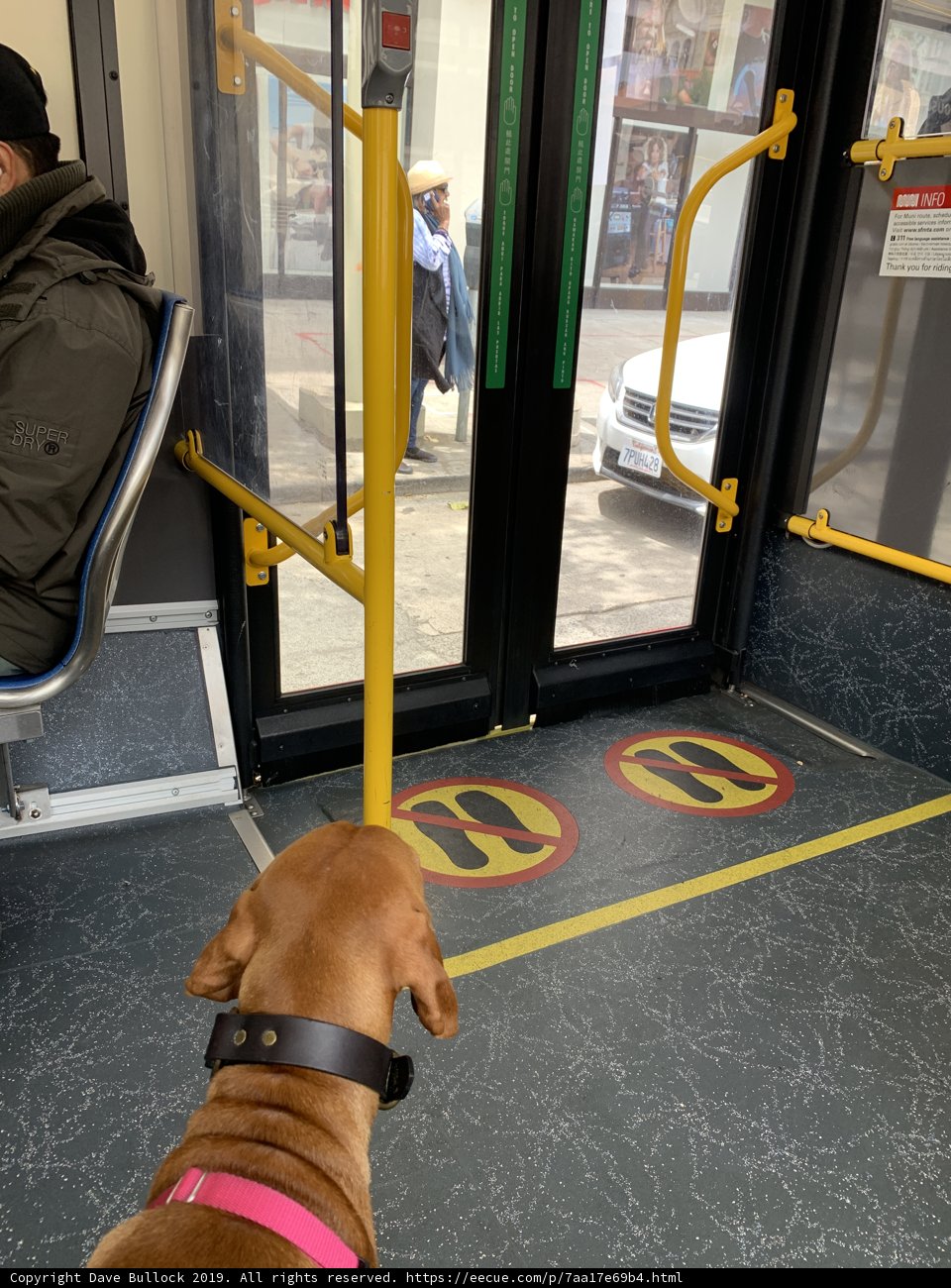 Riding in Style with My Best Friend