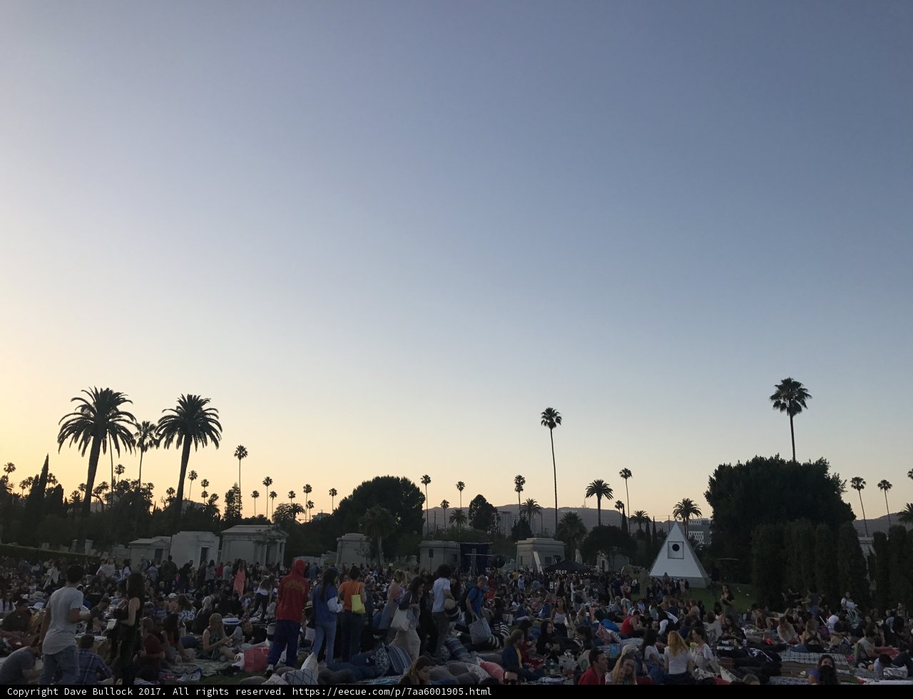 Sunset Crowd at Hollywood Forever