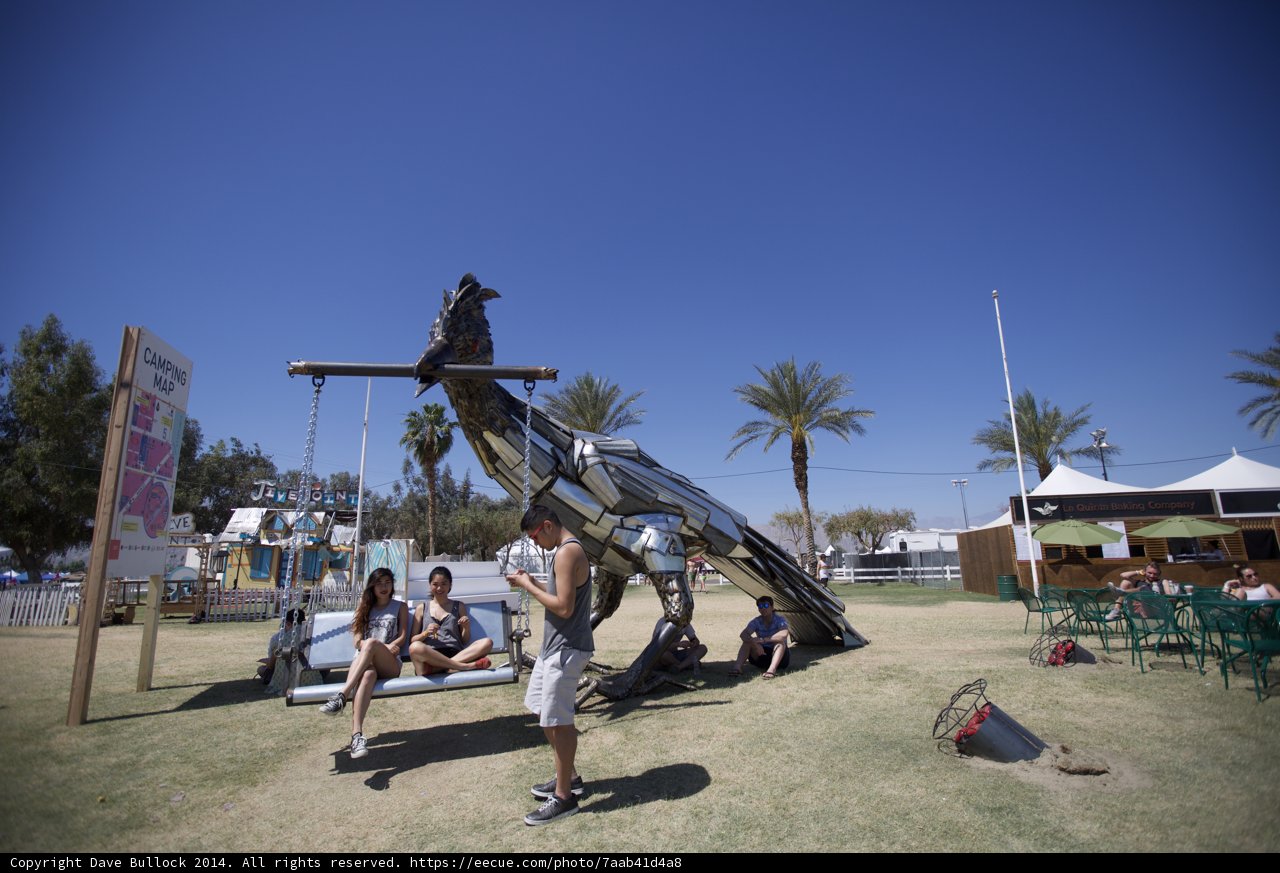 Swingin' in the Summer Sun