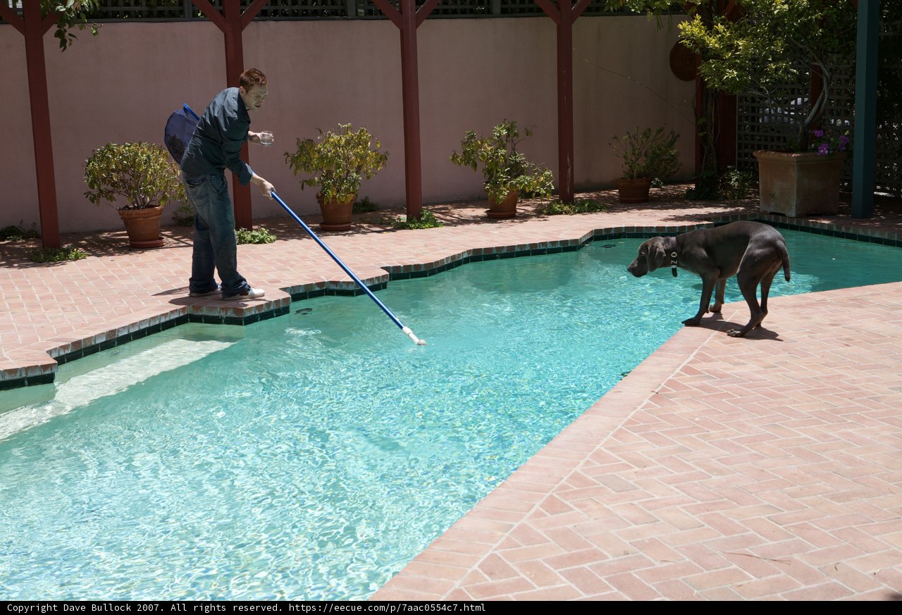 Cleaning the Pool