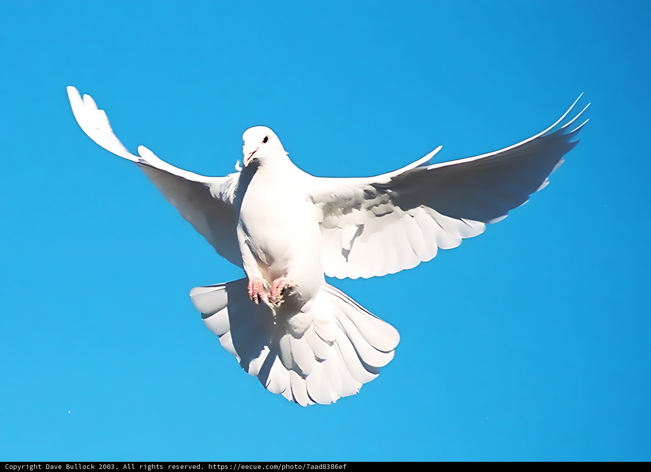 Majestic Flight