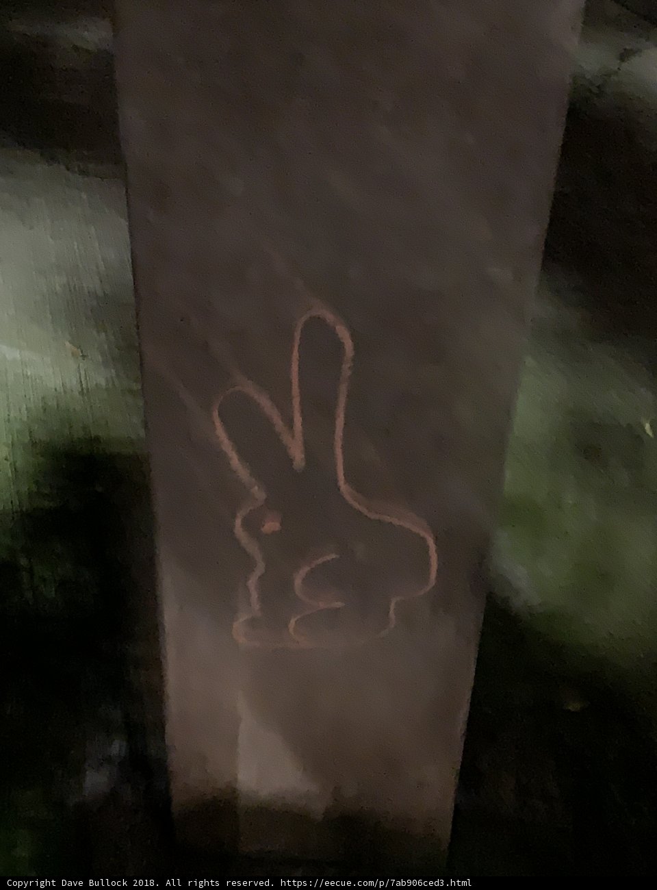 Rabbit on a Stone
