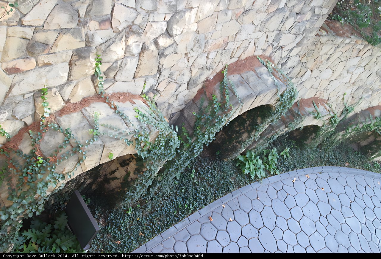 Flagstone Wall with Ivy