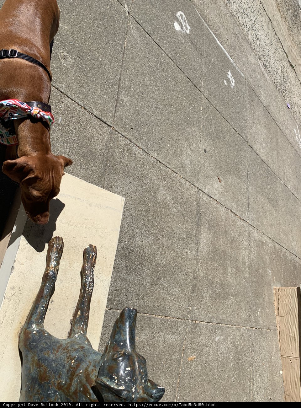 A Curious Canine Sniffs an Artistic Statue