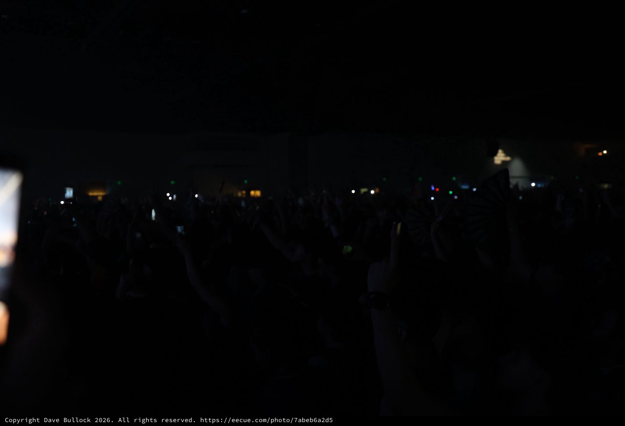 Sea of Lights at Wobbleland Festival After Dark