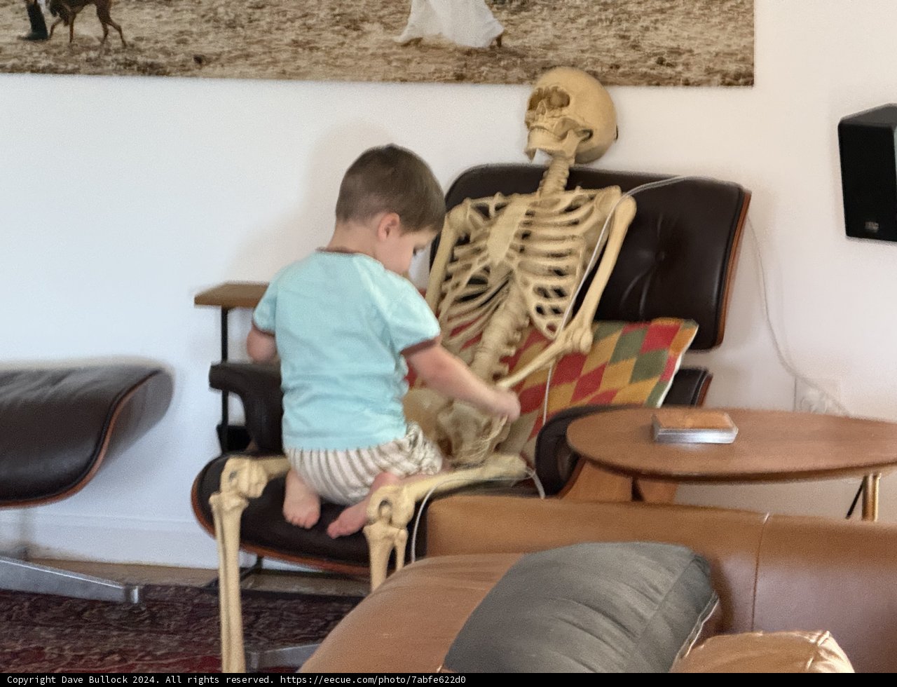 Unlikely Companions