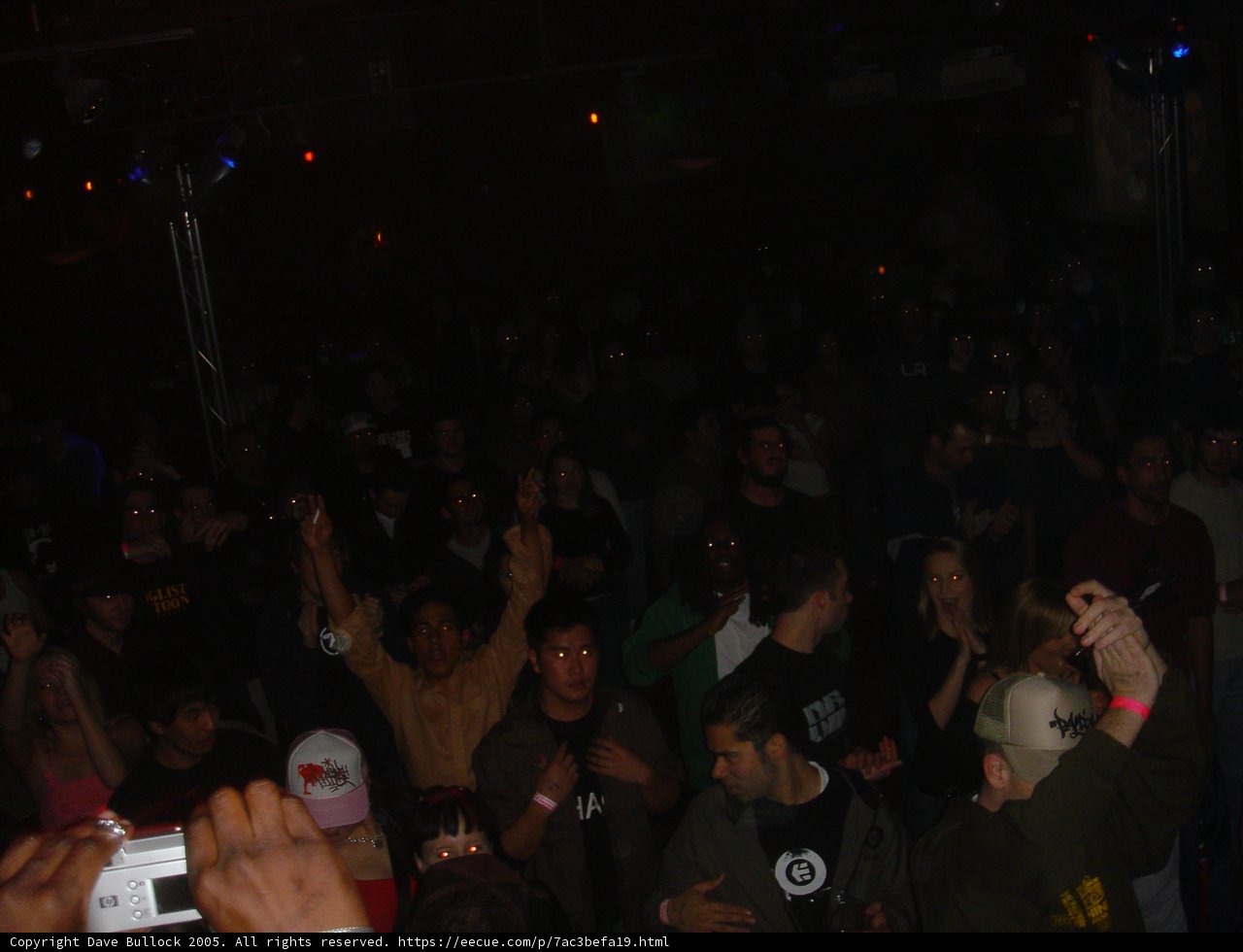 Nightclub Crowd