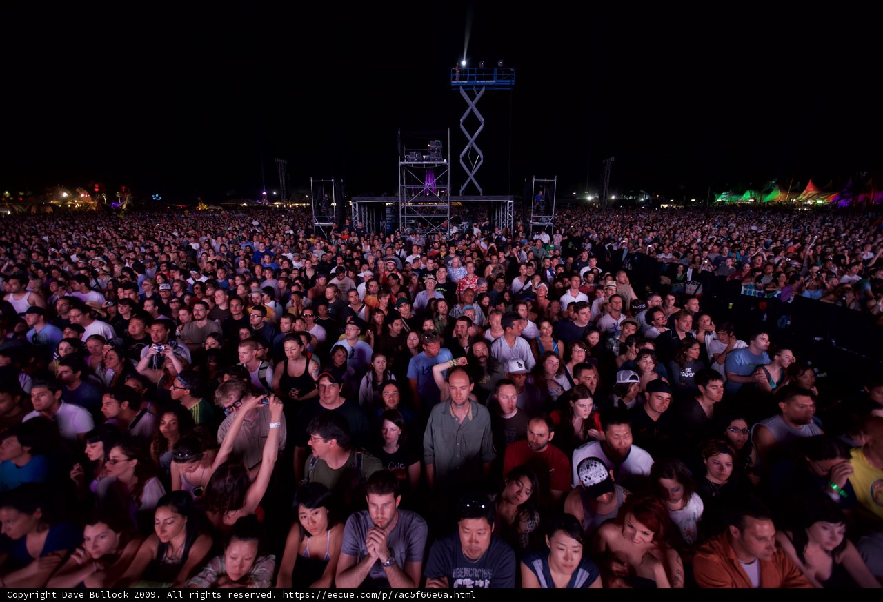 Coachella Nights