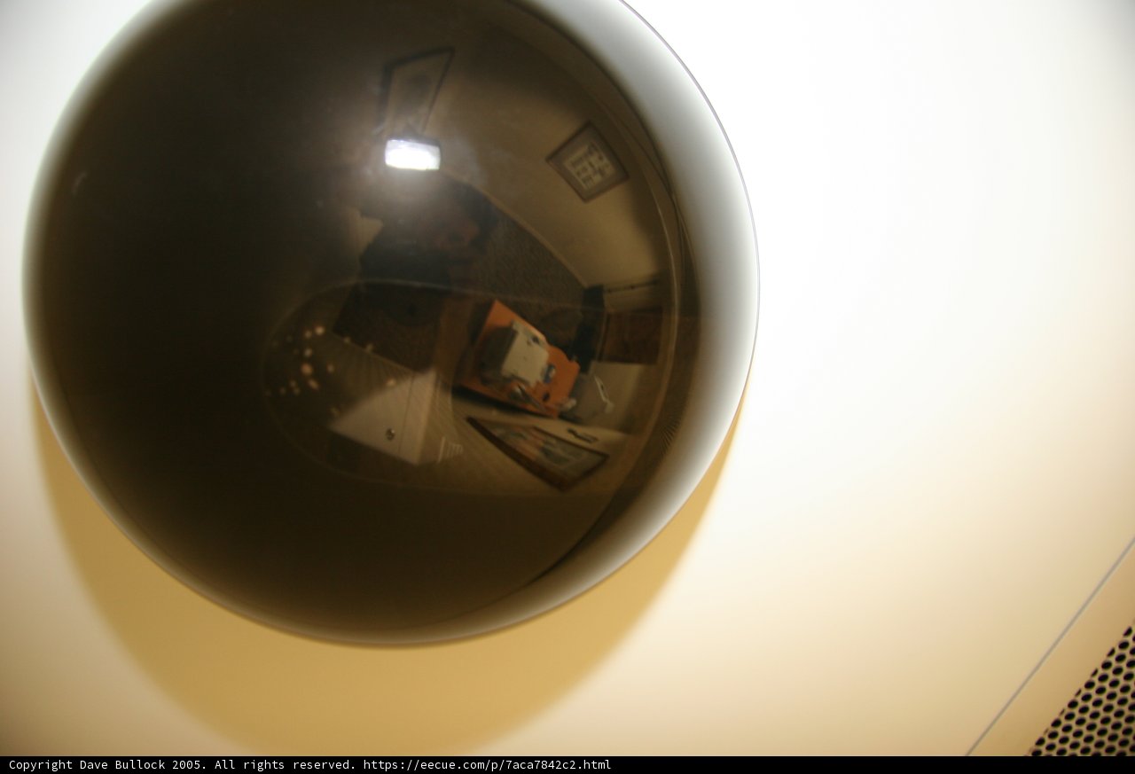 Reflections in Spherical Black and White Mirror