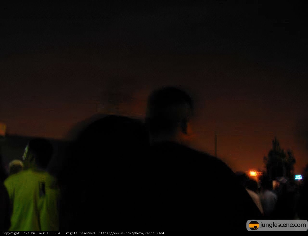 Nighttime Gathering