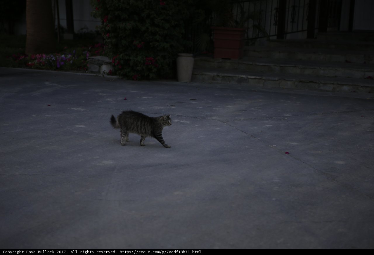 Strutting on Slate