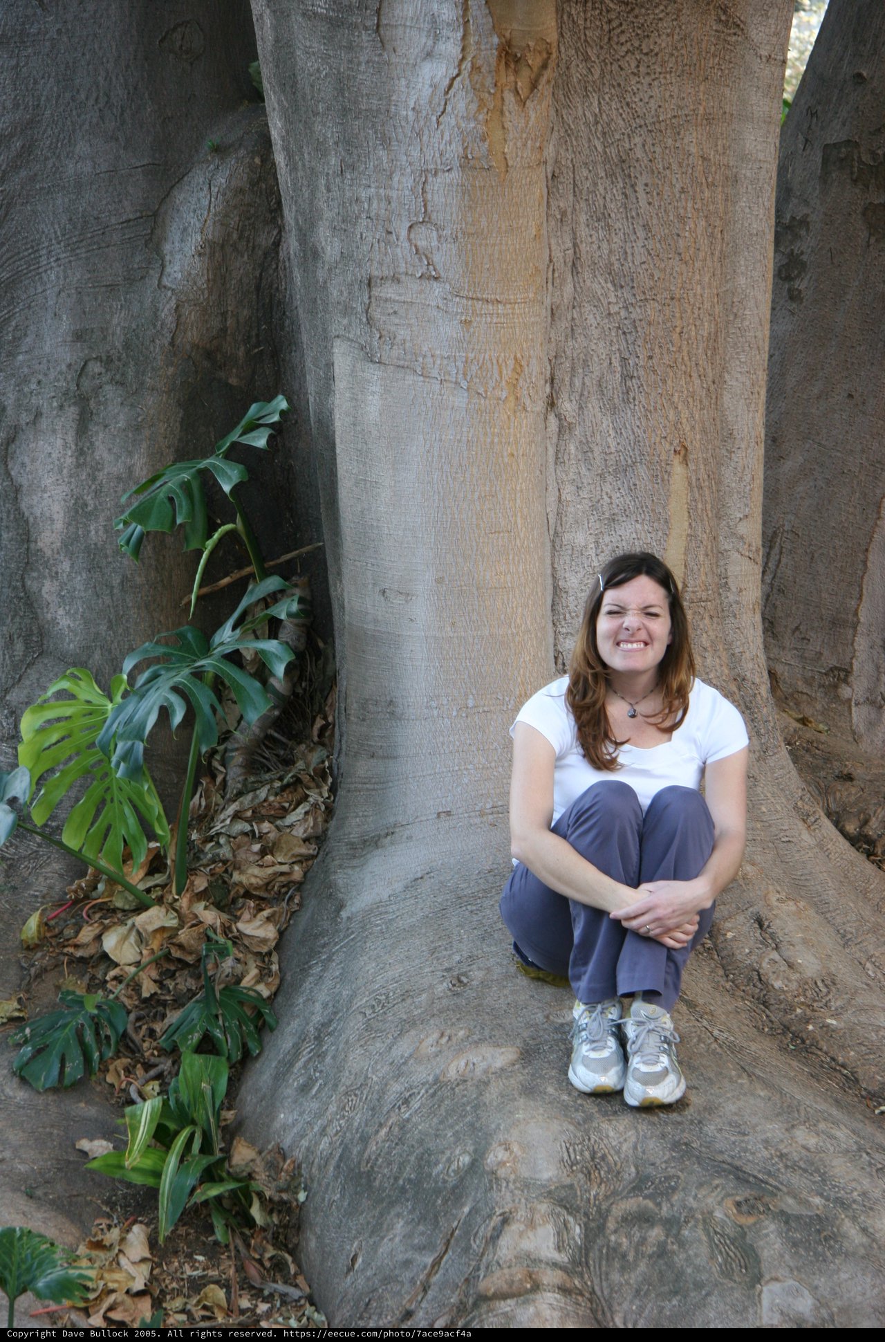 Woman Smiling Among Giant Tropical Tree Roots