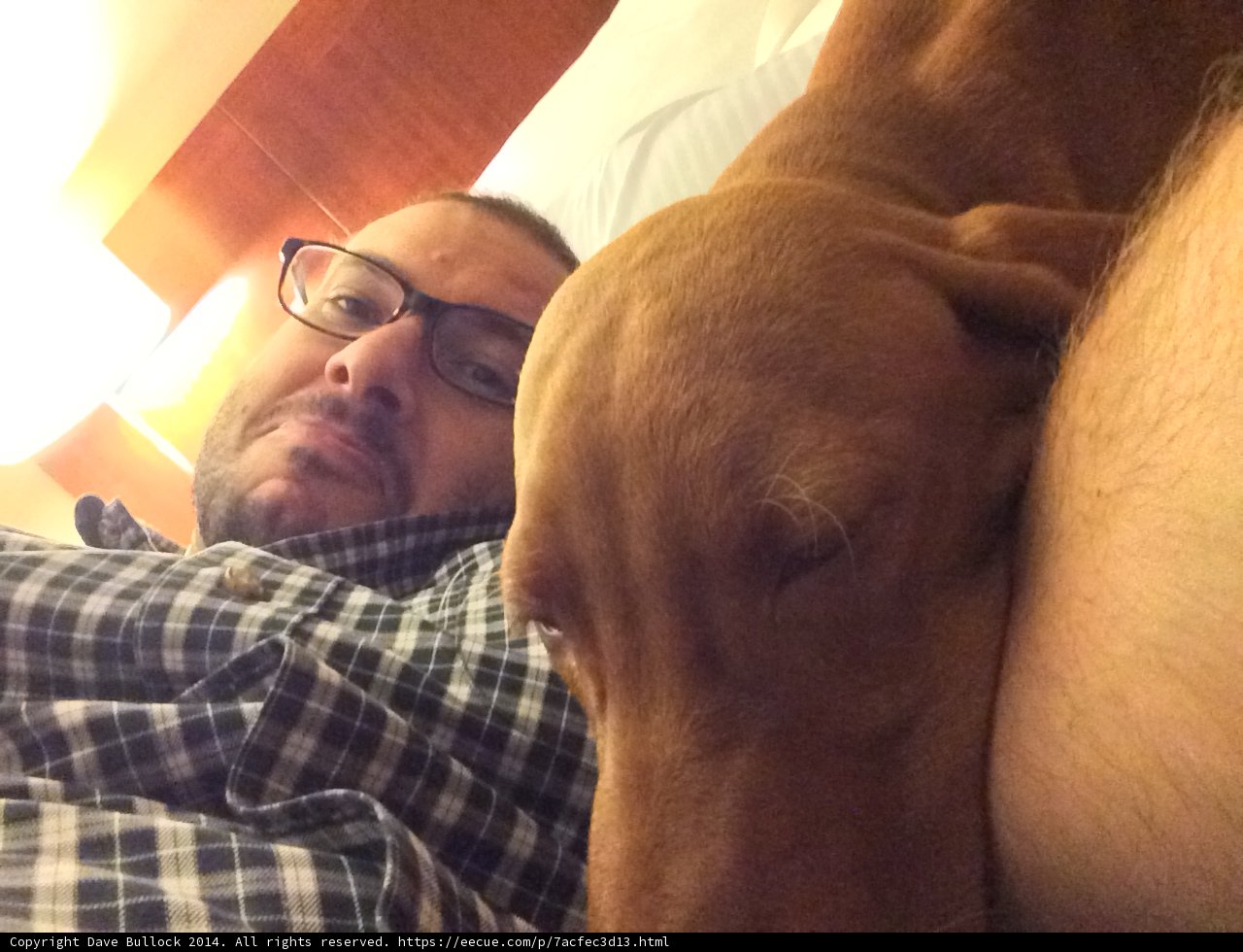 A Man's Best Friend