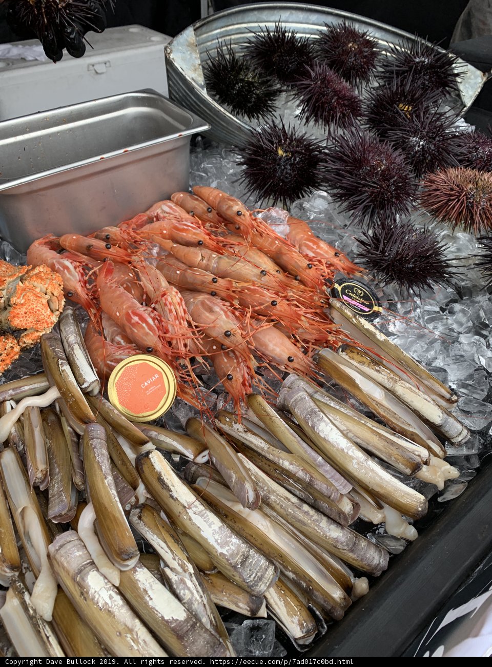 Seafood Delight on Ice