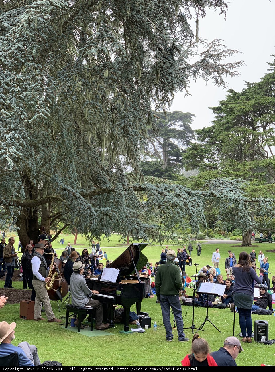 Piano Performance in the Park
