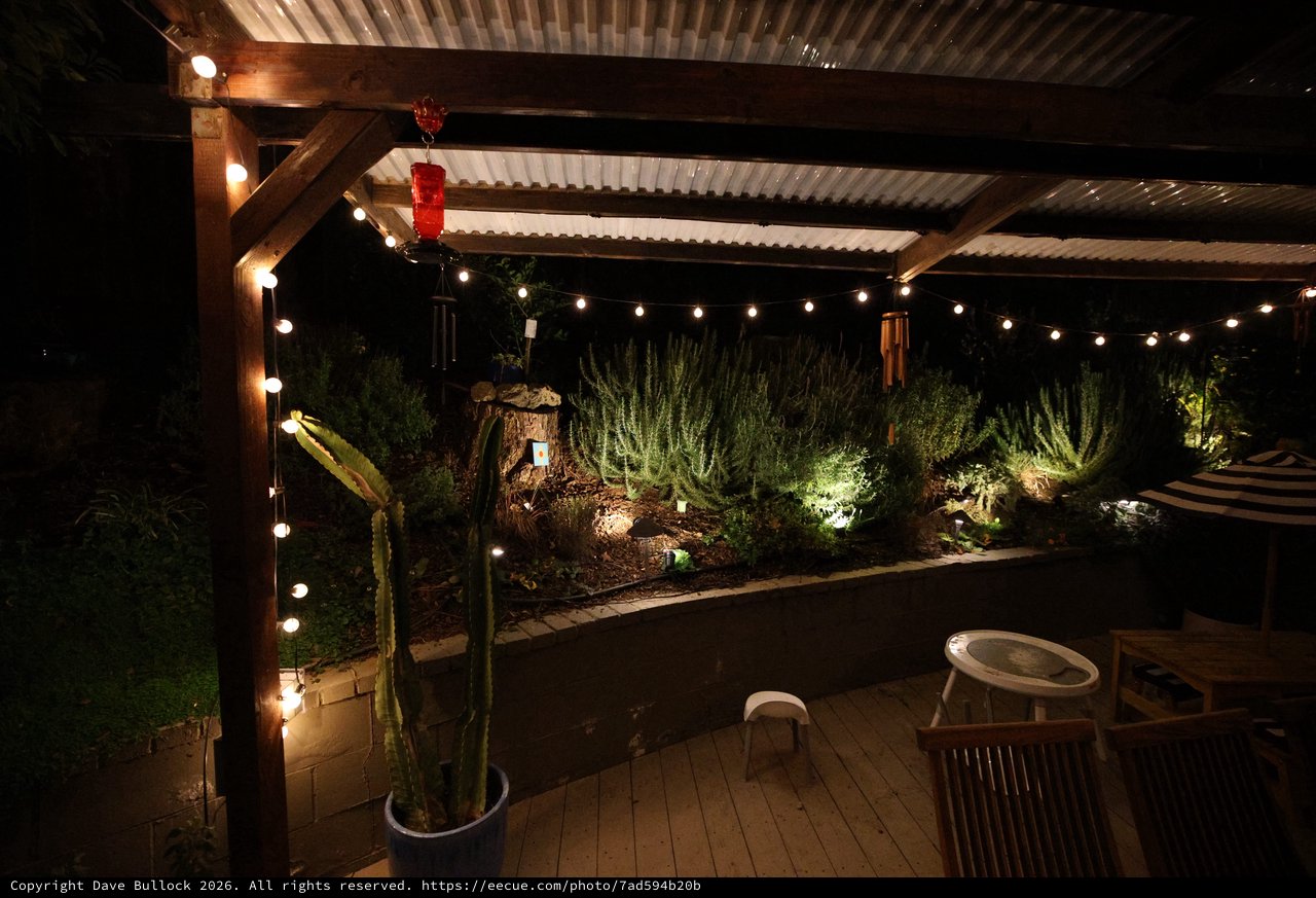 Desert Garden Patio at Night with String Lights