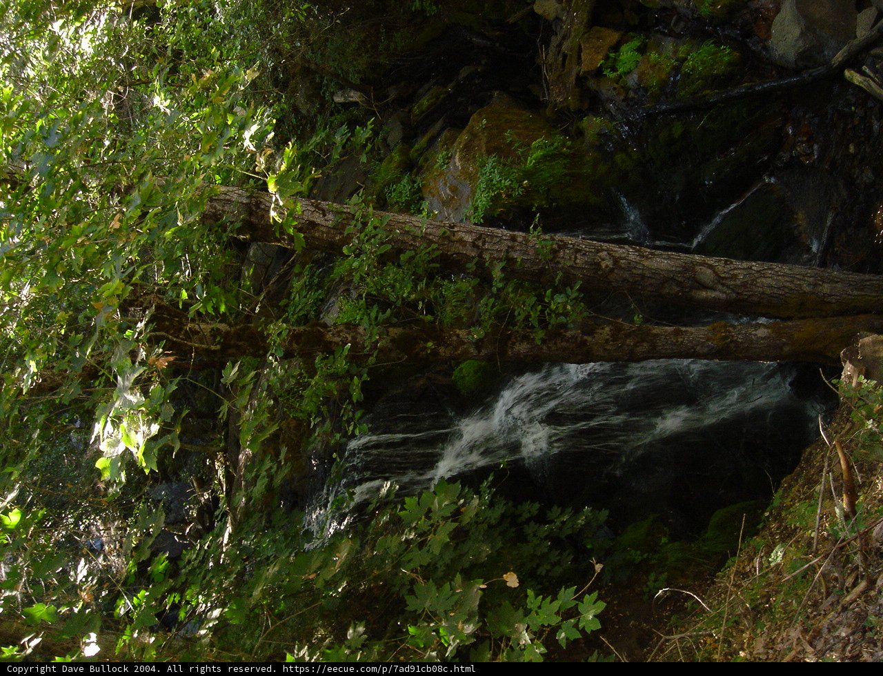 Serene Waterfall amidst Lush Foliage