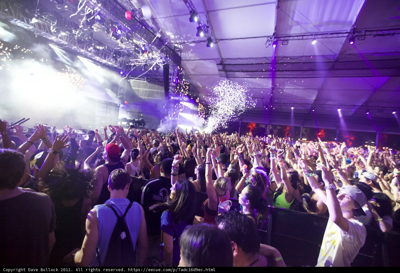 Hands Up for the Nightlife