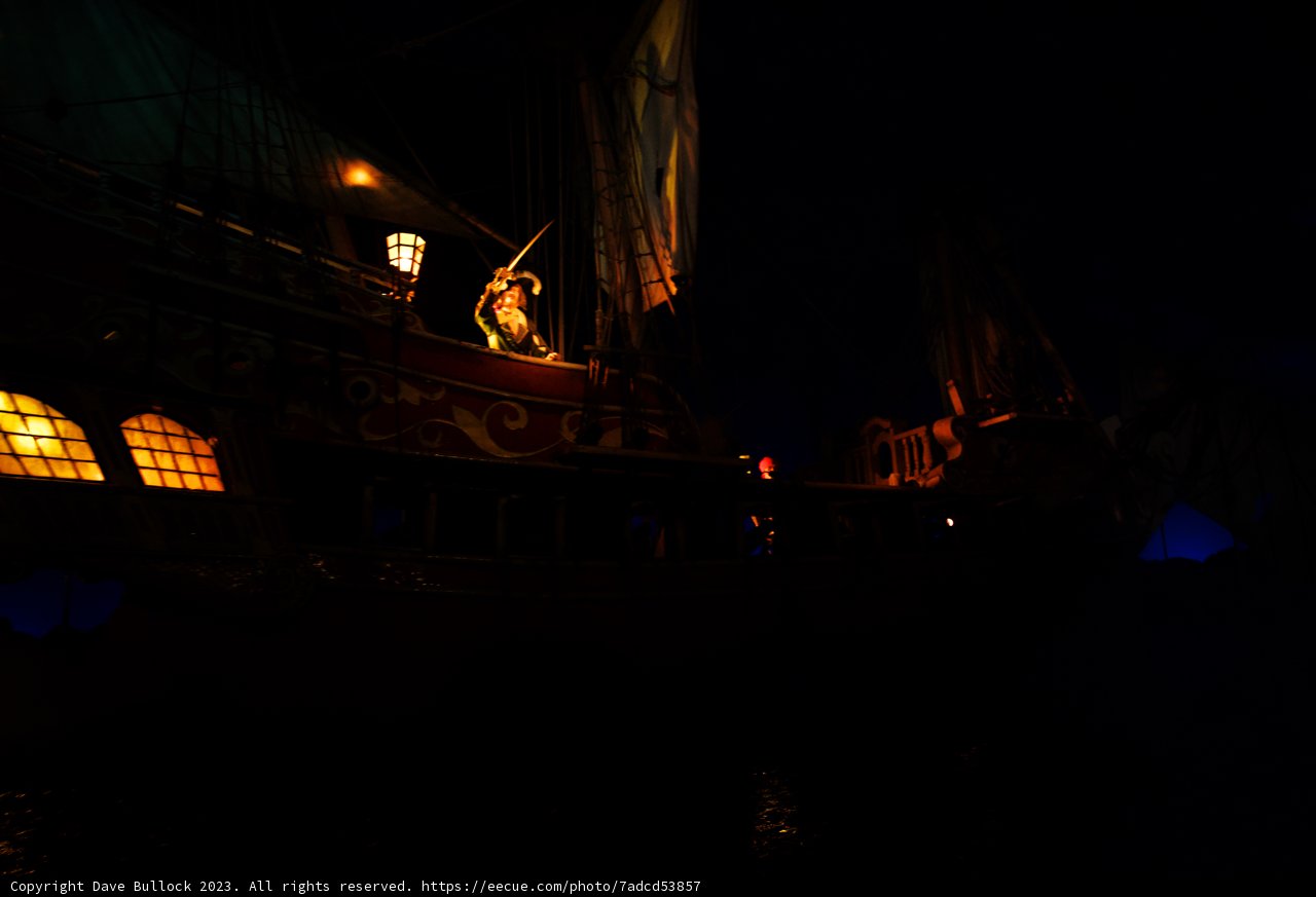 Enchanting Night Voyage