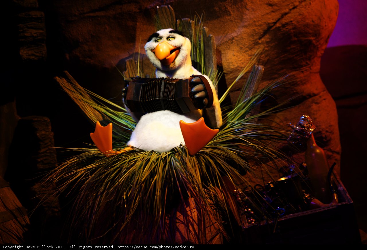 The Hula Penguin Showstopper