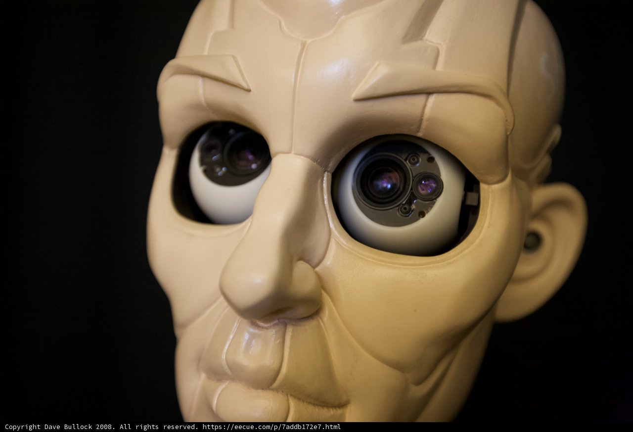 Metallic-Clad Robot Gaze