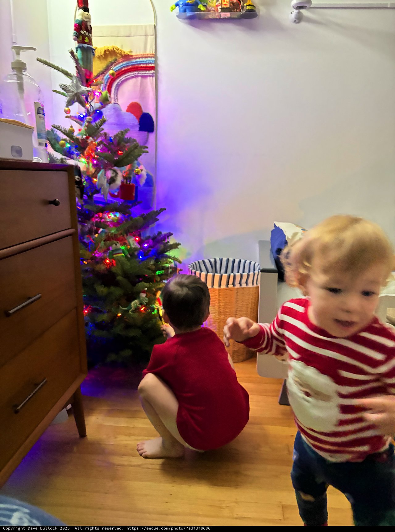 Children Captivated by Decorated Christmas Tree at Night