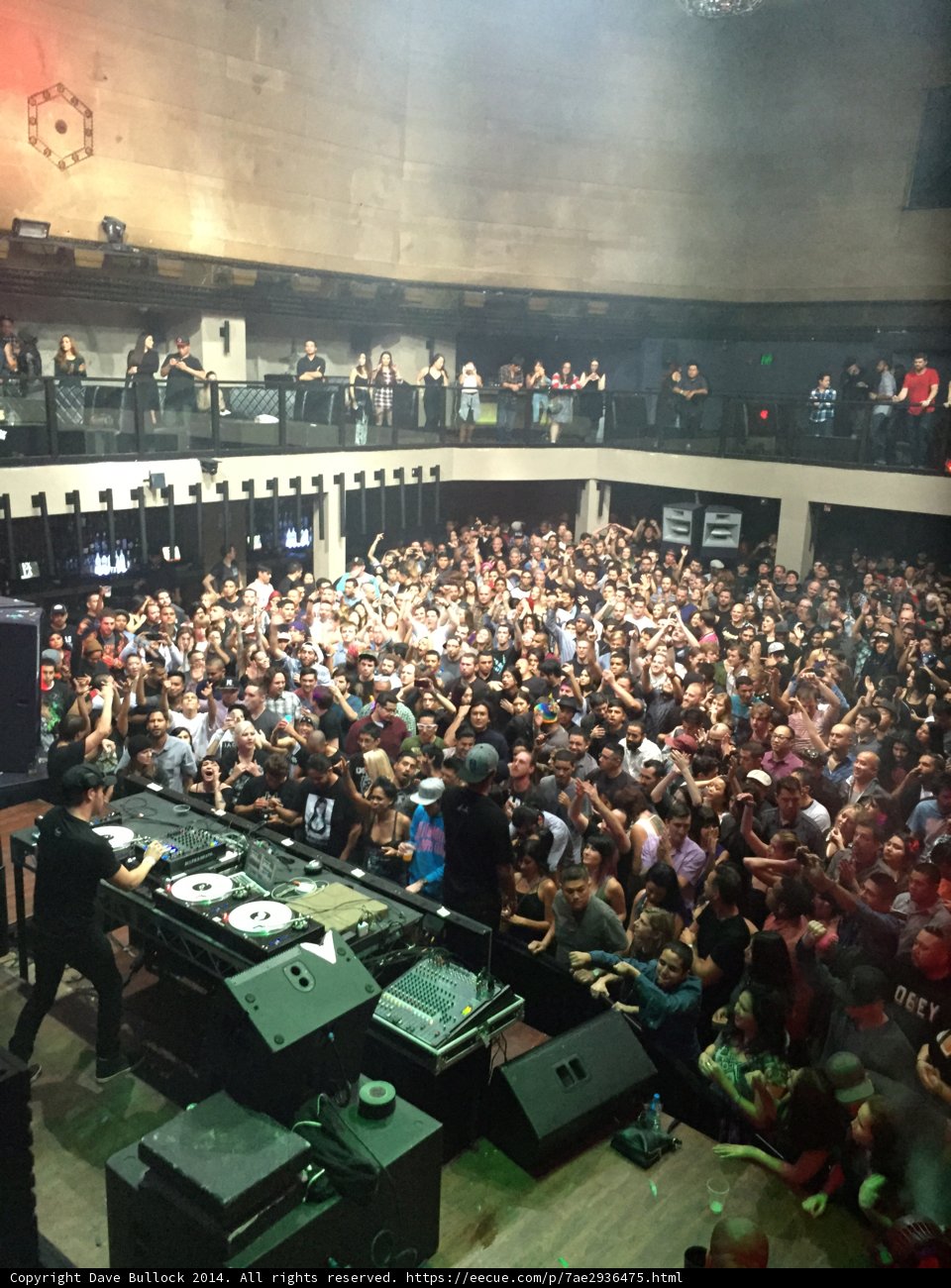 Nickolas Tse performing in front of a pulsing crowd