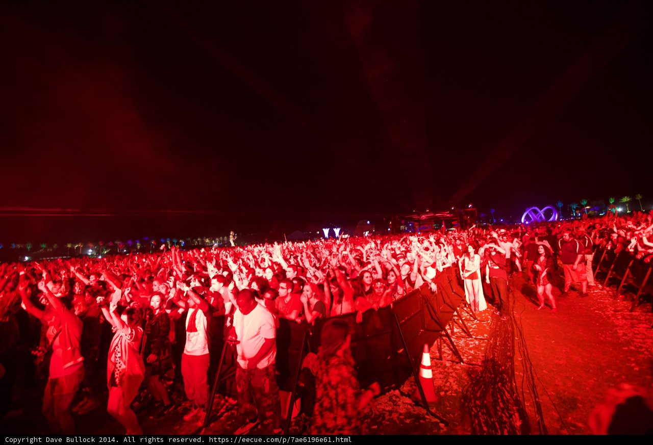 Electric Night: A Crowd's Euphoric Frenzy