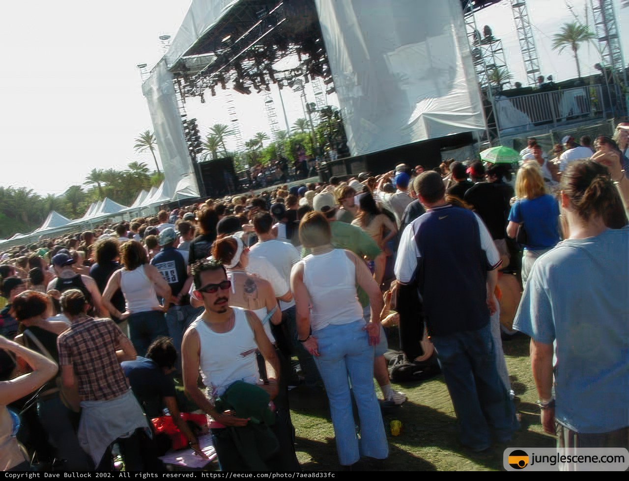 Coachella 2002: Desert Concert Madness