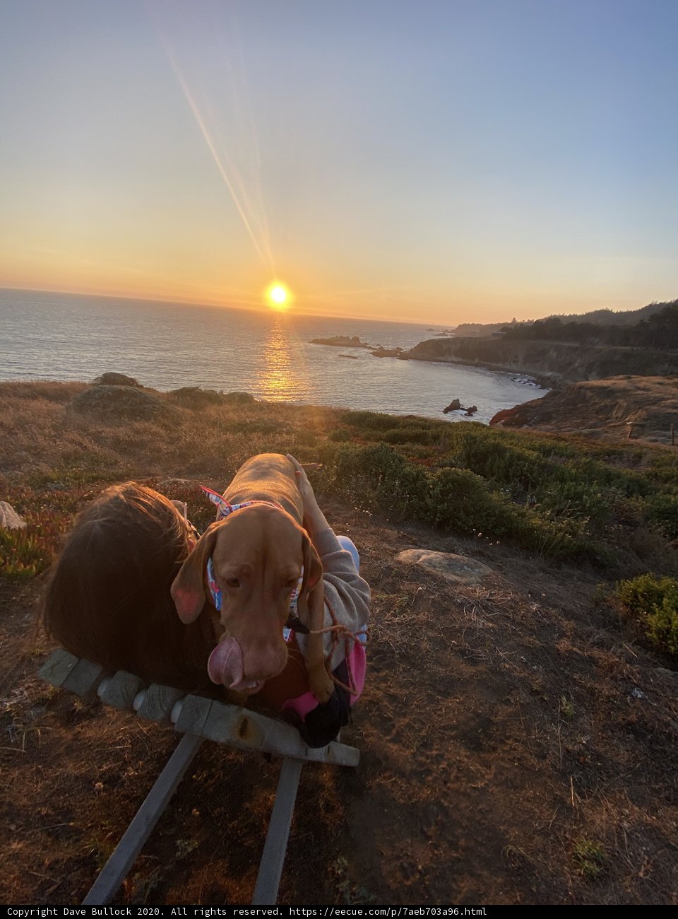 Man's Best Friend Caption: A loyal dog rests beside its human companion on a bench overlooking the stunning California coastline in Jenner.