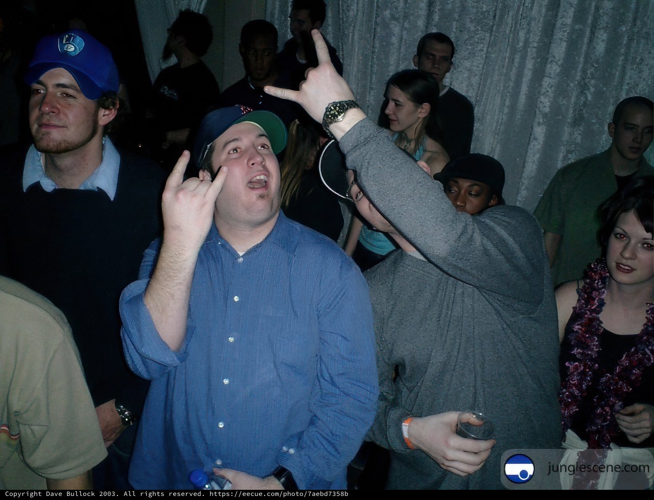 Party Gesture