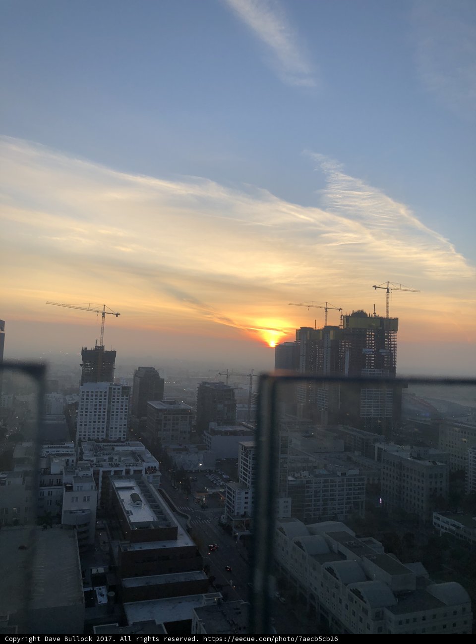 Golden Hour in the Urban Jungle