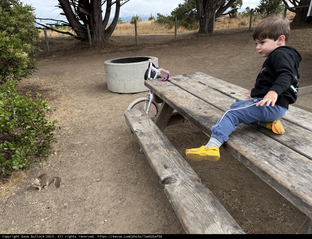 Curious Encounters in Cambria