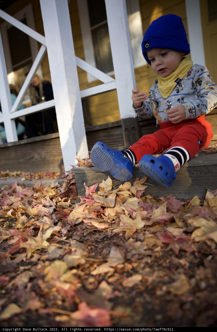 Autumn Whispers in Downtown Sonoma