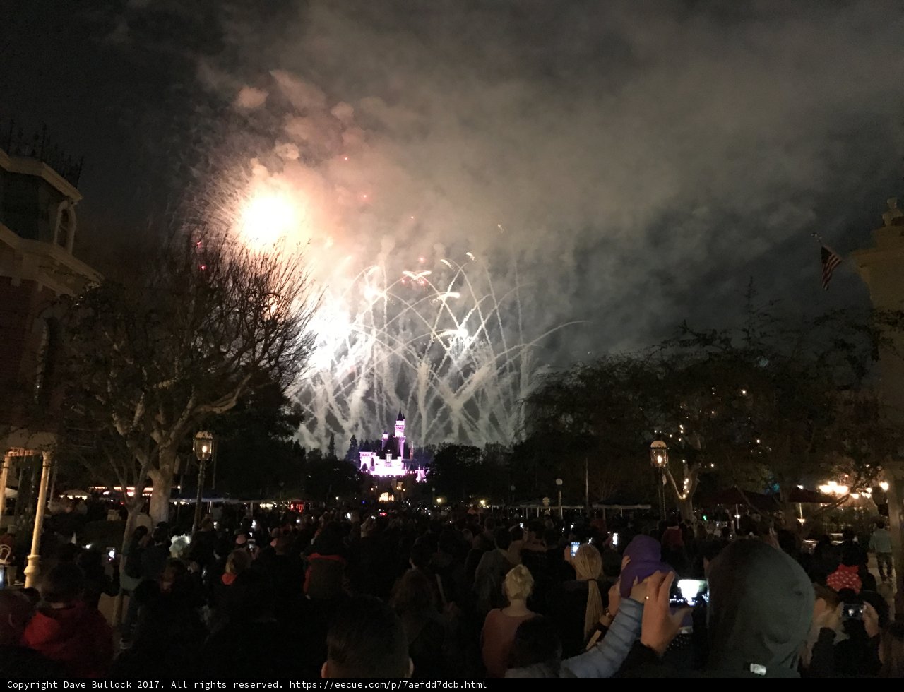 Disneyland Fireworks Spectacular