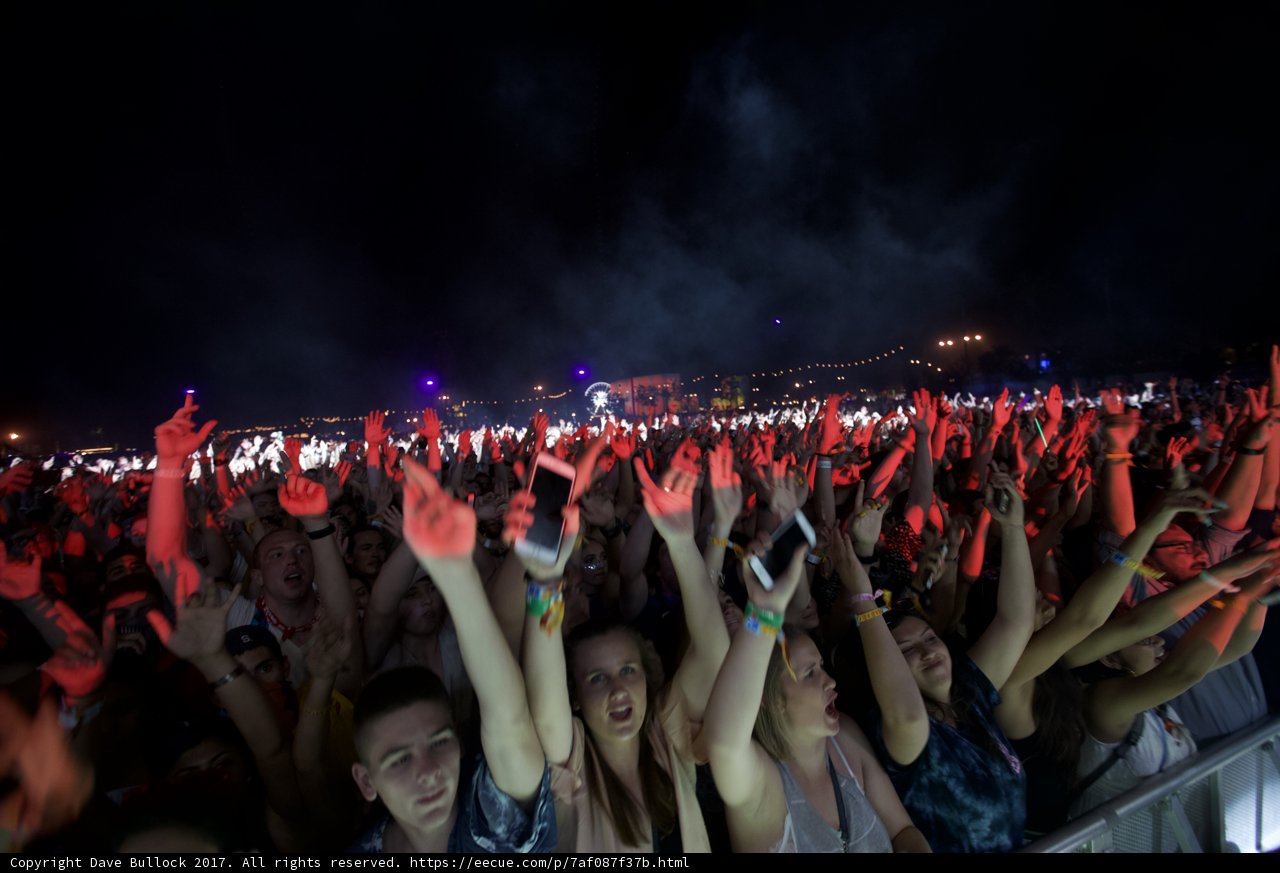 Party Under the Night Sky