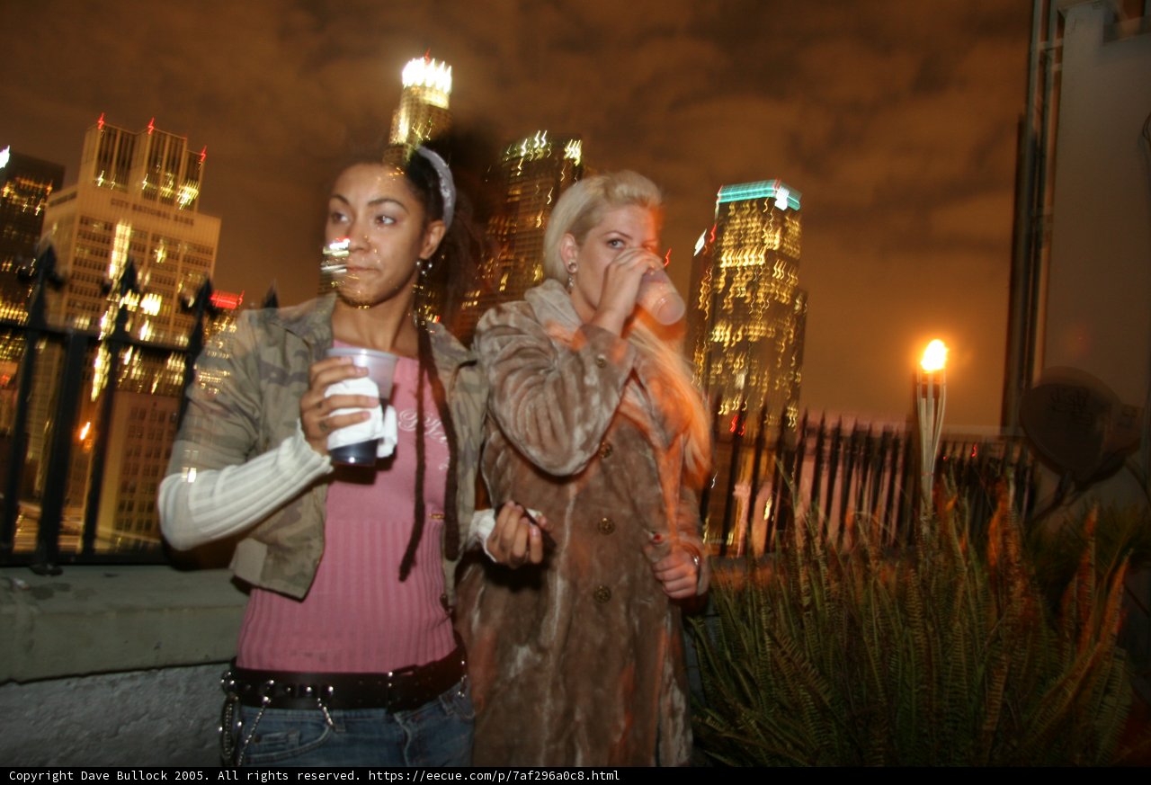 Rooftop Revelry