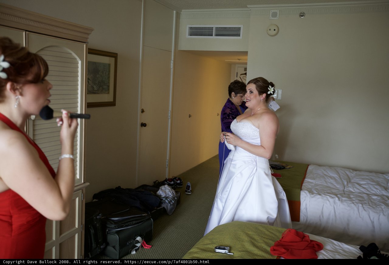 Bride in her Beautiful Gown