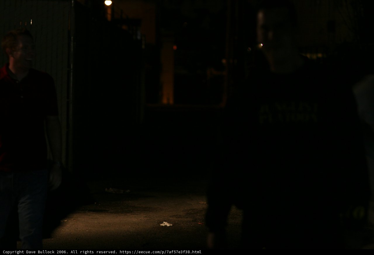 Nighttime Walkers