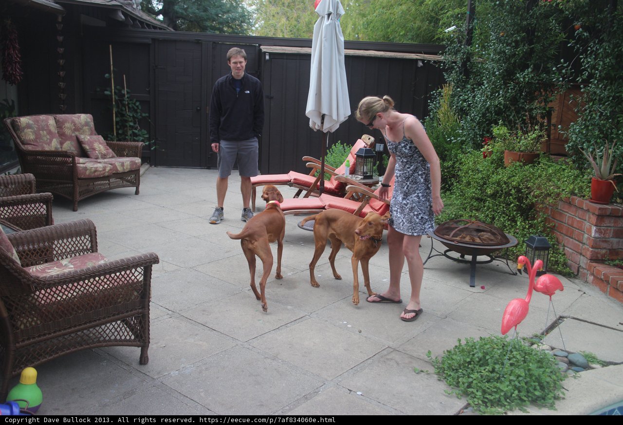 A Woman's Haven with Her Four-Legged Friends