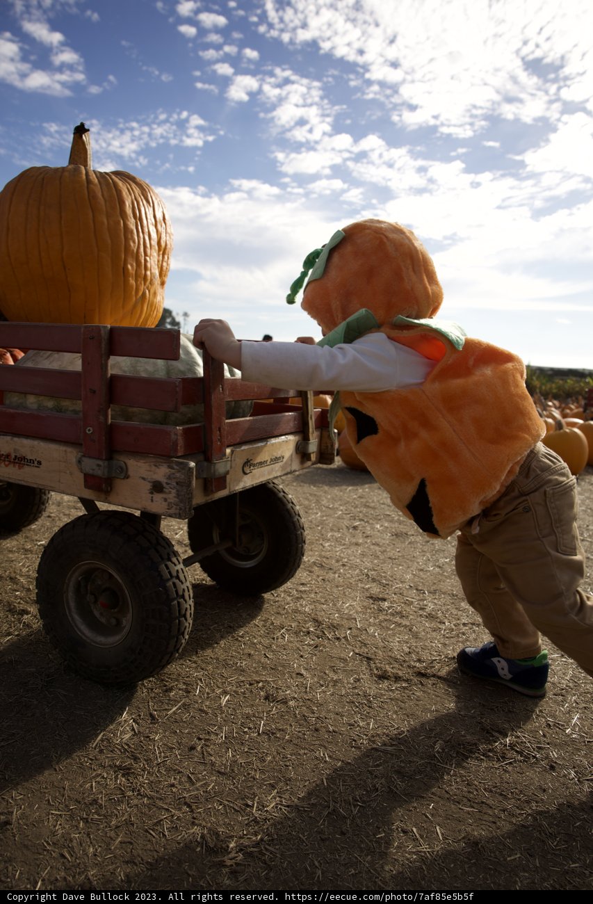 Harvest Hero at Halfmoon Bay