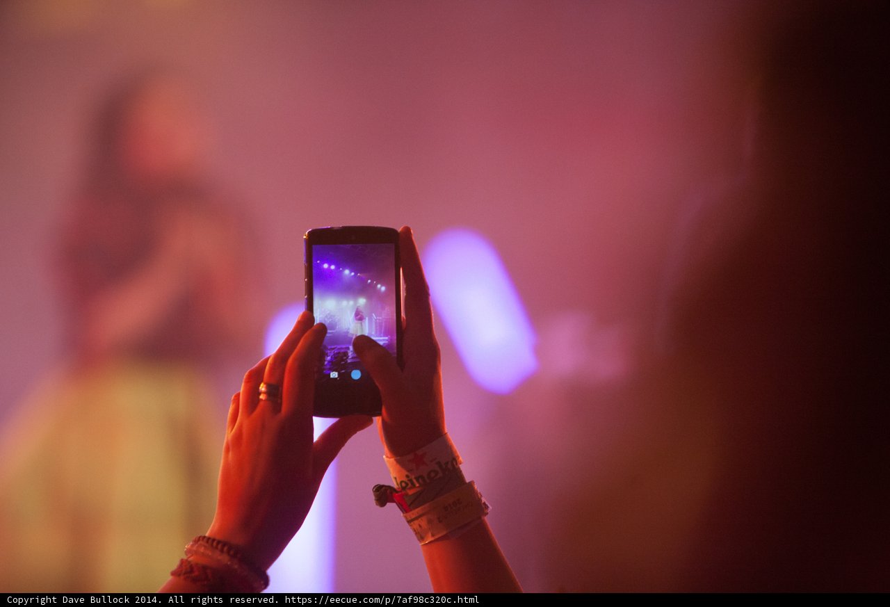 Metaphoto of Little Dragon