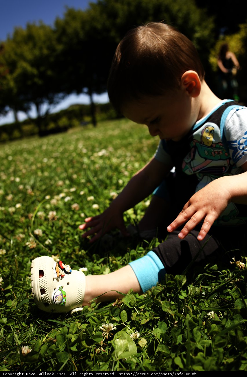 The Joy of Play