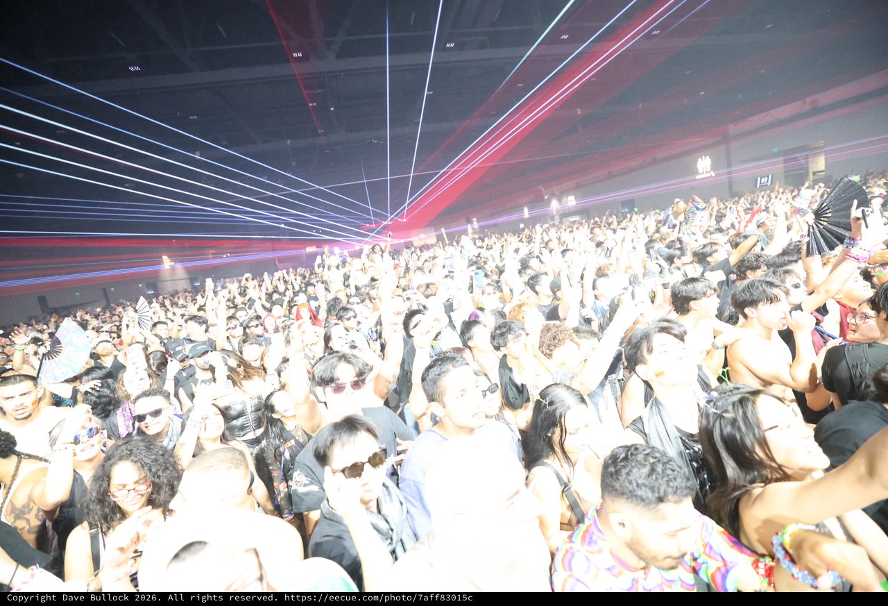Massive Crowd Surges Under Laser Light Show