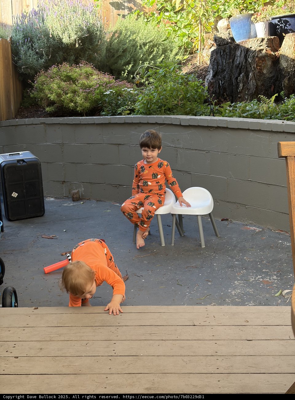 Backyard Adventures in Orange