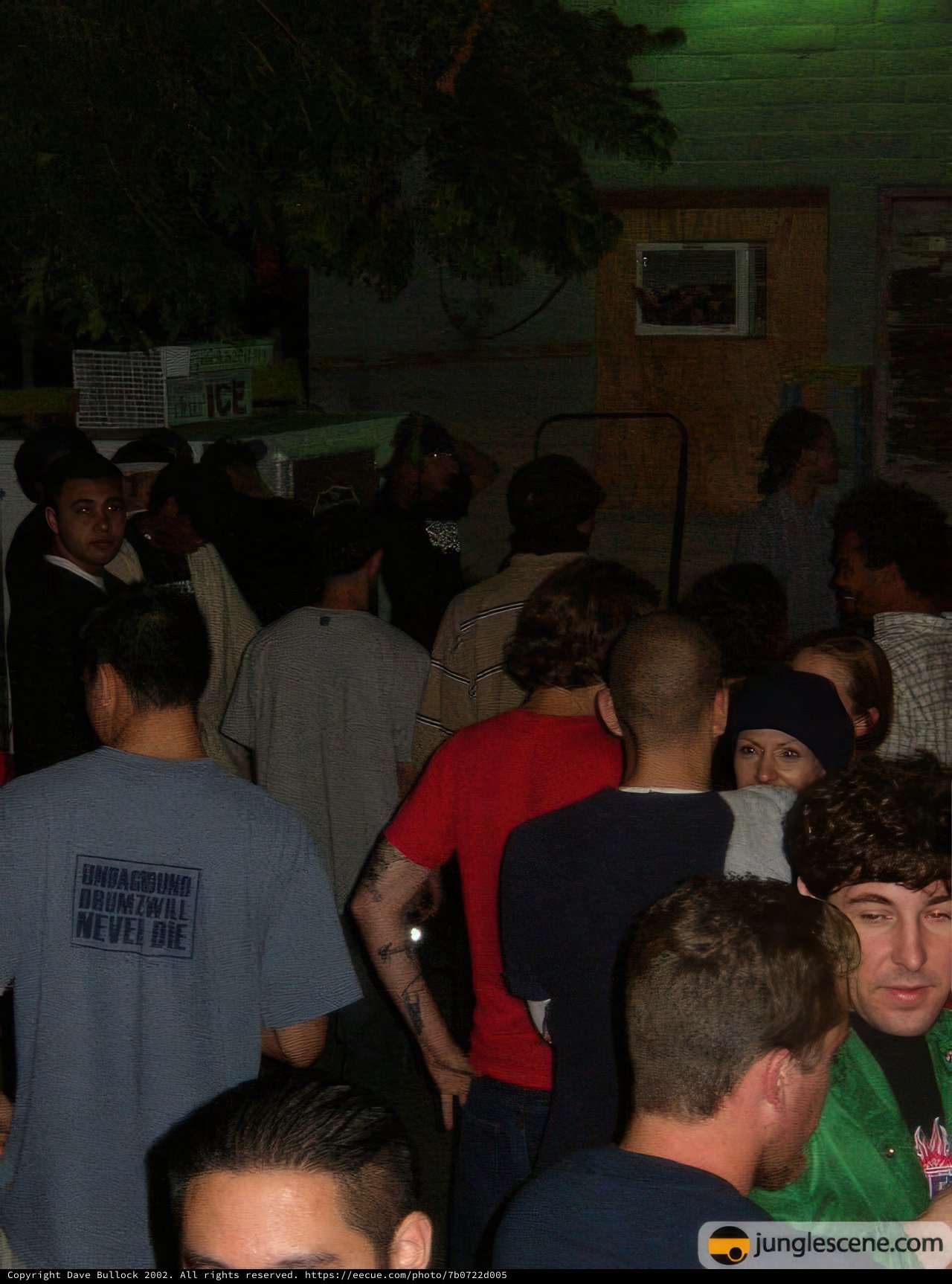 Nightclub Fun with Art and Crowd