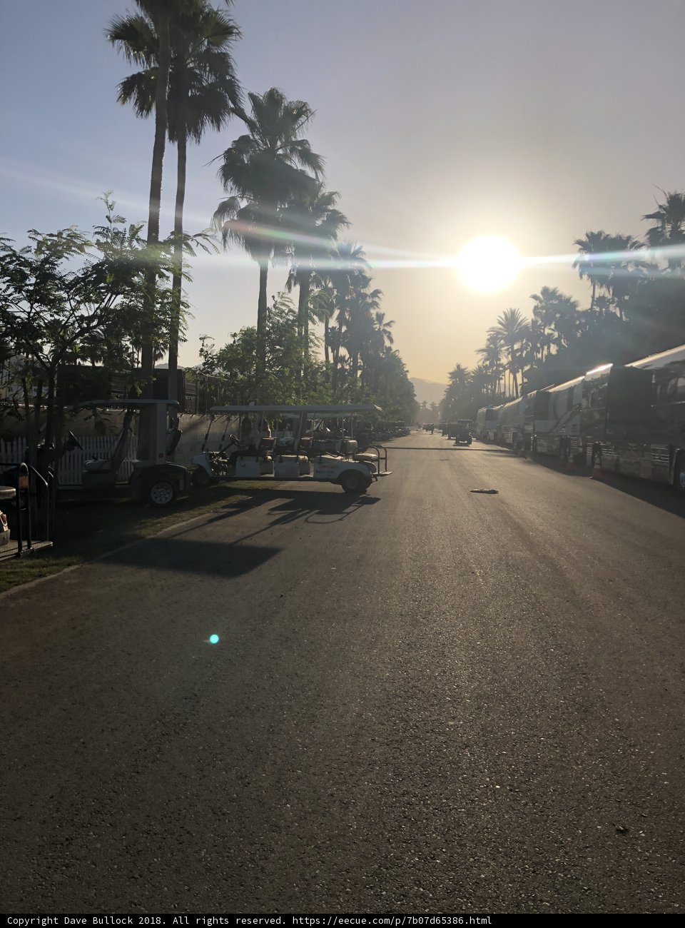 Sunset Drive on a Palm-Lined Road