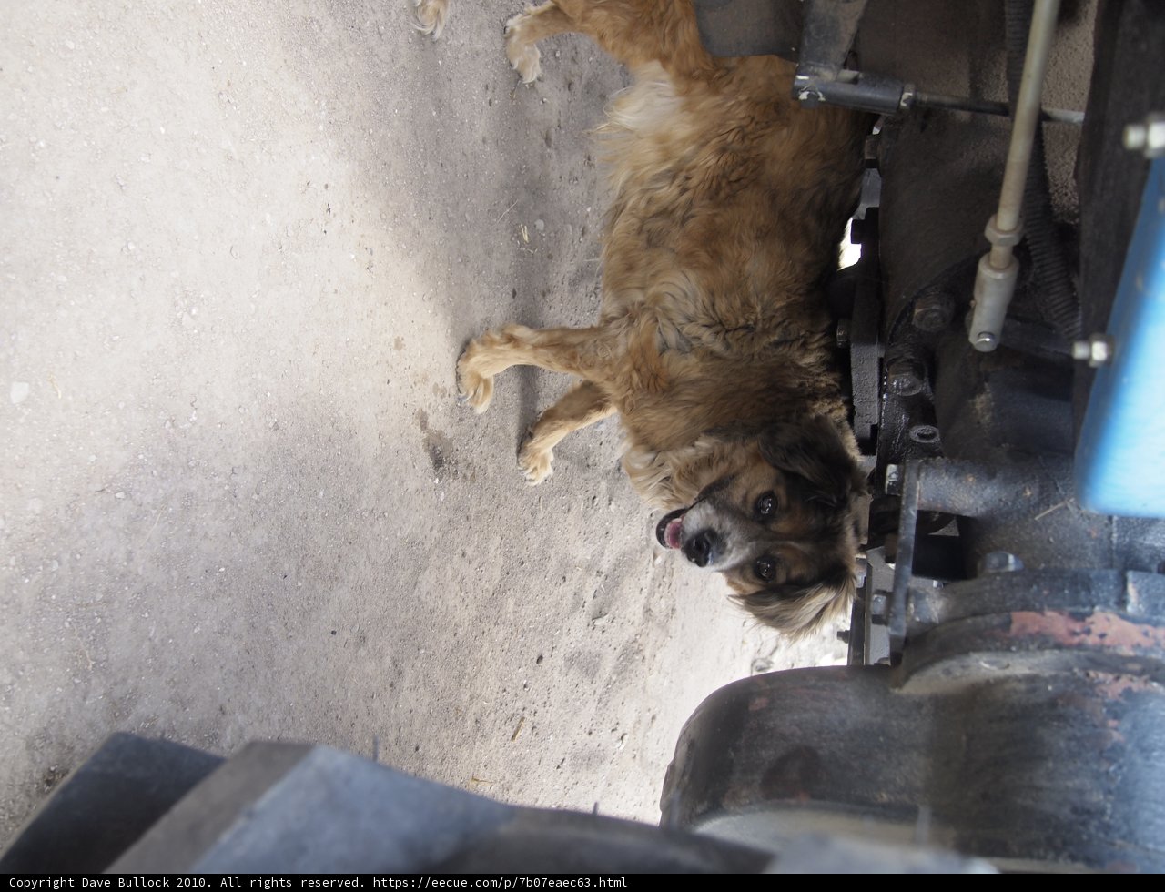 Underneath the Vehicle Companion